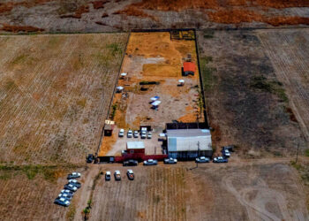 Sheinbaum’s War on Crime Faces a Grim Reckoning: 133,000 Missing