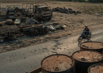 Where Even Flowers Stoke Fear