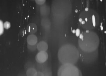 Bettina Köster, a Leading Voice in Berlin’s 1980s Avant-Garde, Dies at 66