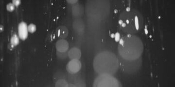 Bettina Köster, a Leading Voice in Berlin’s 1980s Avant-Garde, Dies at 66