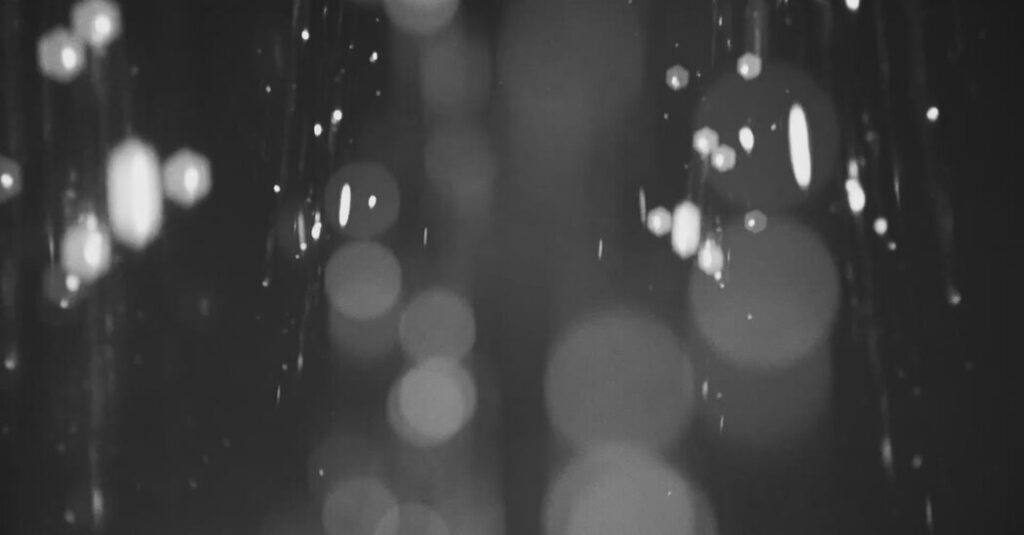 Bettina Köster, a Leading Voice in Berlin’s 1980s Avant-Garde, Dies at 66