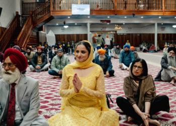 Democrats Weigh Whether a Lawmaker’s Ethnicity Counts More Than Ideology