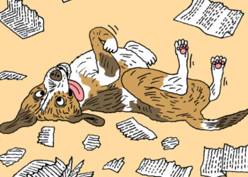 In Defense of Dumb Dogs