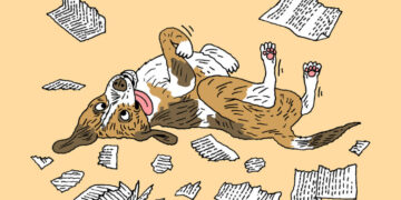 In Defense of Dumb Dogs