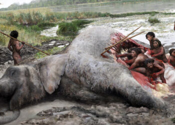 Were Neanderthals Able to Hunt Elephants? The Proof Is in an Ancient Bone