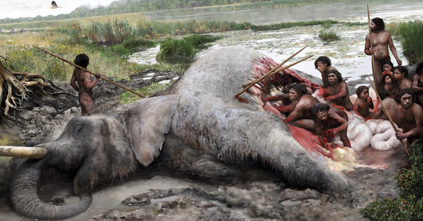 Were Neanderthals Able to Hunt Elephants? The Proof Is in an Ancient Bone