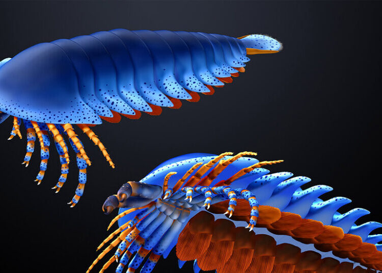 Fossil of Pincer-Wielding Crawler Reveals Origins of Spiders, Scorpions and Others