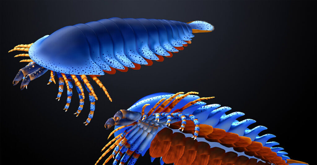 Fossil of Pincer-Wielding Crawler Reveals Origins of Spiders, Scorpions and Others