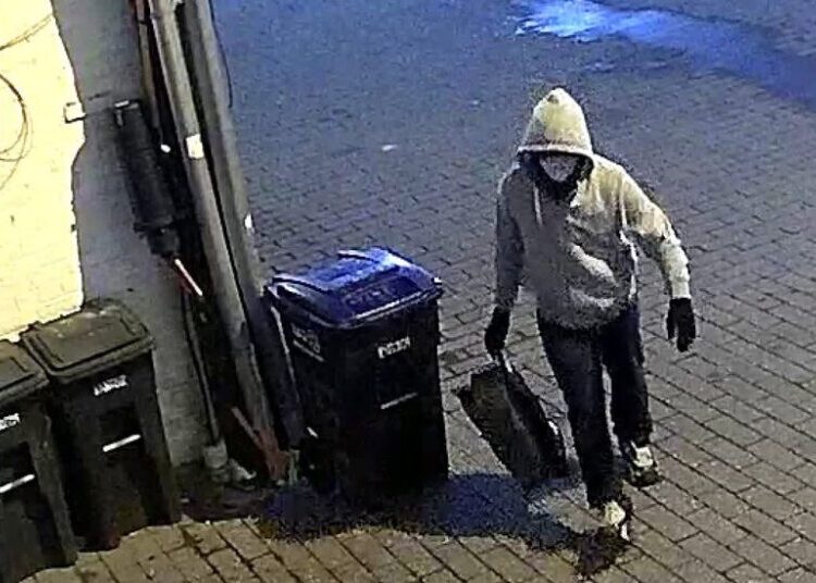 Pipe Bomb Defendant Says He May Adopt Debunked Account as Defense