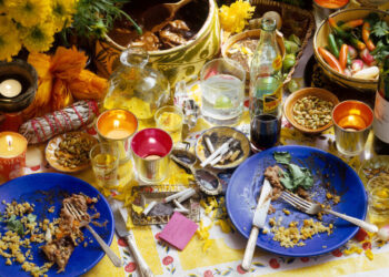 Padma Lakshmi: What America’s Food Tells Us About Birthright Citizenship