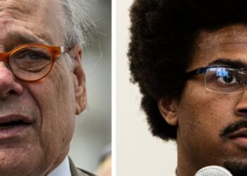 A Memphis Congressman, His Ex-Intern and the Democrats’ Generational Fights