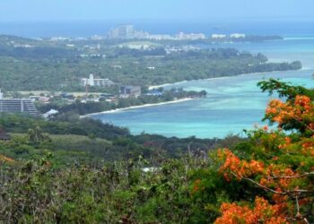 What Is Birth Tourism and How Common Is It?