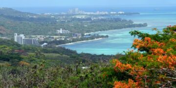 What Is Birth Tourism and How Common Is It?