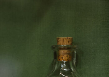 The Age-Old Obsession With Living Forever