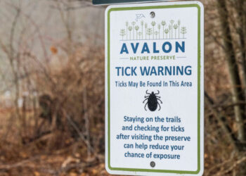 New York Is a Hot Spot for Alpha-Gal. Why Doesn’t the State Track Cases?