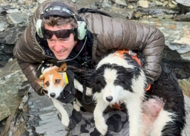 Volunteers in Helicopter Rescue Hiker’s Dog After a Week in the Wilderness