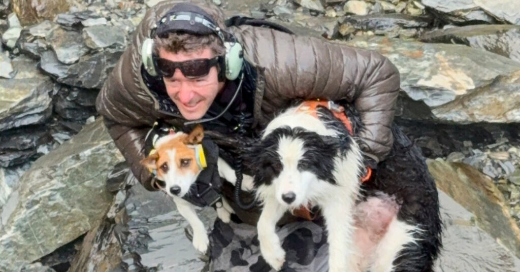 Volunteers in Helicopter Rescue Hiker’s Dog After a Week in the Wilderness