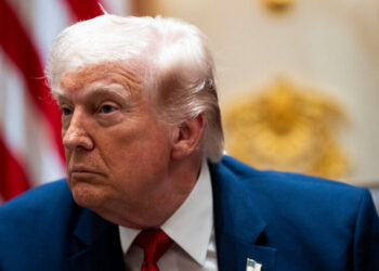 Trump Directs Officials to Pay All D.H.S. Employees