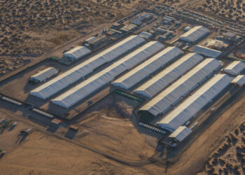 Dozens of Violations Found at Migrant Detention Camp in Texas