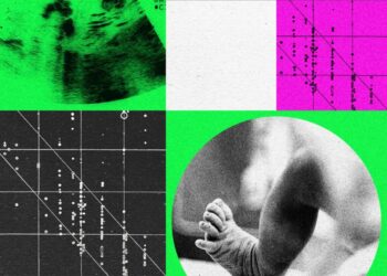 Designer Baby Companies Are in Turmoil