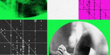 Designer Baby Companies Are in Turmoil