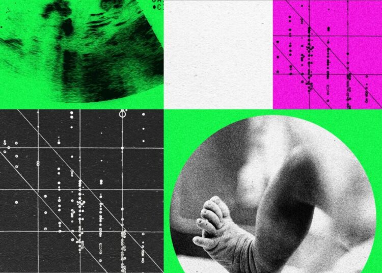 Designer Baby Companies Are in Turmoil