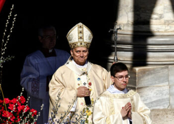 Pope Leo Calls for Peace and Warns of a World Indifferent to Violence