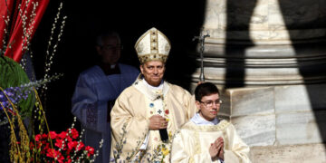 Pope Leo Calls for Peace and Warns of a World Indifferent to Violence