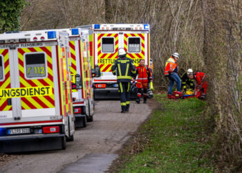 3 Dead After High Winds Topple Tree During Easter Egg Hunt in Germany