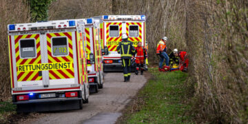 3 Dead After High Winds Topple Tree During Easter Egg Hunt in Germany