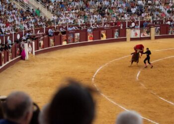 Former Matador Is Gored to Death Before Annual Bullfight in Spain