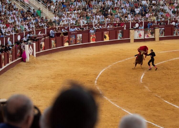 Former Matador Is Gored to Death Before Annual Bullfight in Spain
