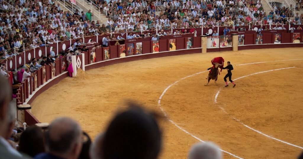 Former Matador Is Gored to Death Before Annual Bullfight in Spain