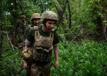 A Crucial Weapon in Russia’s Spring Offensive: Leafy Trees