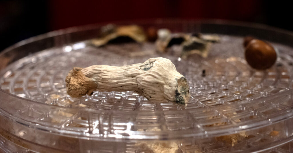 How Psychedelics Affect the Brain