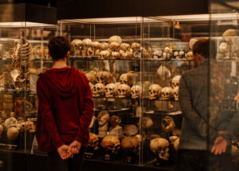 Europe’s Museums Confront the (Literal) Skeletons in Their Closets