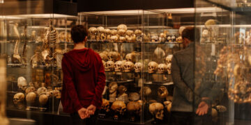Europe’s Museums Confront the (Literal) Skeletons in Their Closets