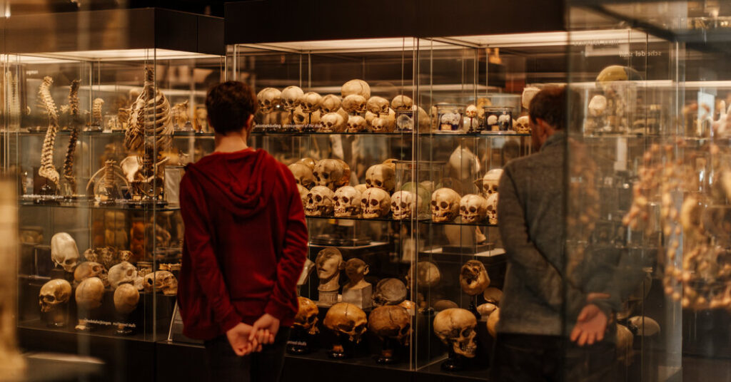 Europe’s Museums Confront the (Literal) Skeletons in Their Closets