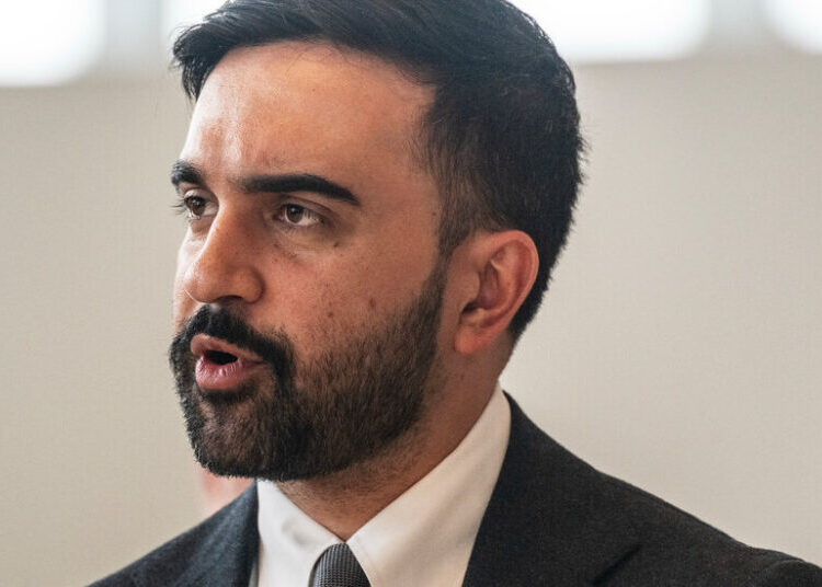 ‘D.E.I.’ Was Erased From N.Y.C. Racial Equity Plan to Avoid Conflict With Trump