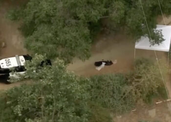 An Easter Egg Hunt in a California Park Leads to a Human Skull