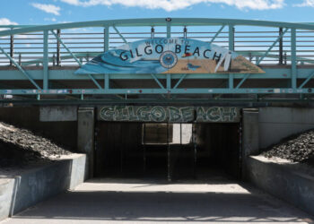 What We Know About the Gilgo Beach Killings