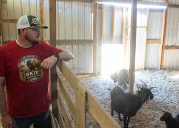 These Homesteaders Live Off the Land (and Prep for the End of the World)