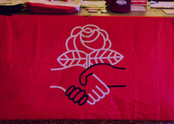 Democratic Socialists Win Court Battle as Elections Near