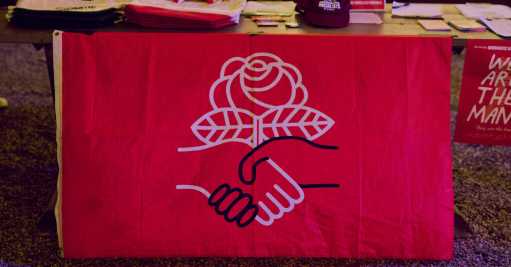 Democratic Socialists Win Court Battle as Elections Near