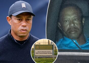 Tiger Woods seeking treatment that could ‘possibly’ keep him out of jail — but golfer will face tough consequences