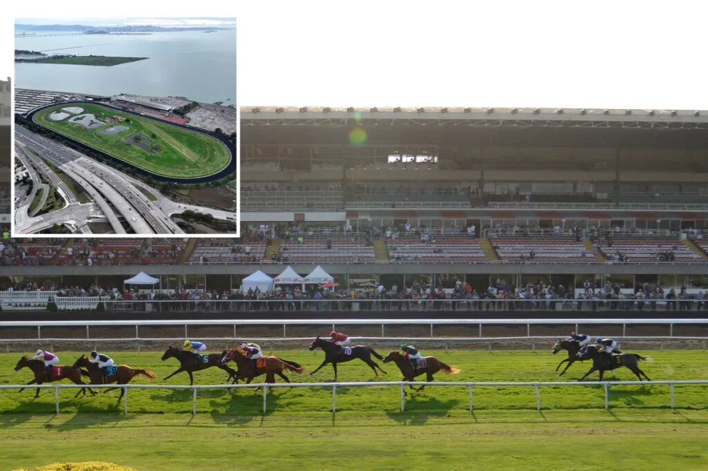 Outrage as Bay Area racetrack to be turned into giant park at taxpayer cost: ‘We need homes!’