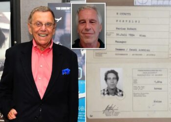 Epstein and billionaire shrink pal emailed about disguises and plastic surgery for ‘trouble avoidance,’ docs show