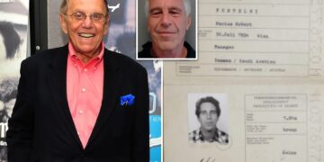 Epstein and billionaire shrink pal emailed about disguises and plastic surgery for ‘trouble avoidance,’ docs show