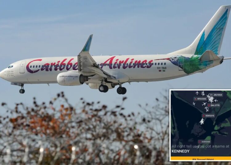Caribbean Airlines passenger gives birth aboard NY-bound flight — as airport officials suggest crafty name for newborn