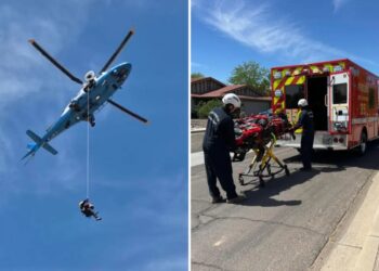 Hiker rescued after left in critical condition for being stung by bees over 100 times in Arizona